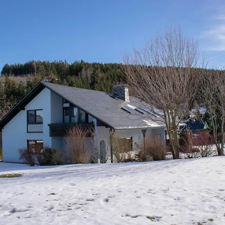 Luxurious In Rattlar Hesse Near Ski Area Appartement Willingen (Upland)